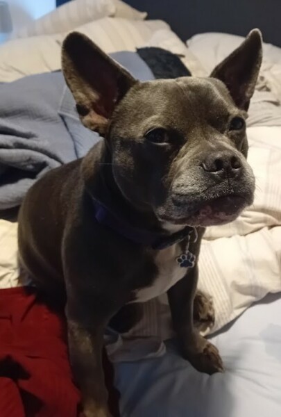 Continuing support thread for those trying to live an alcohol free life - summer 2025