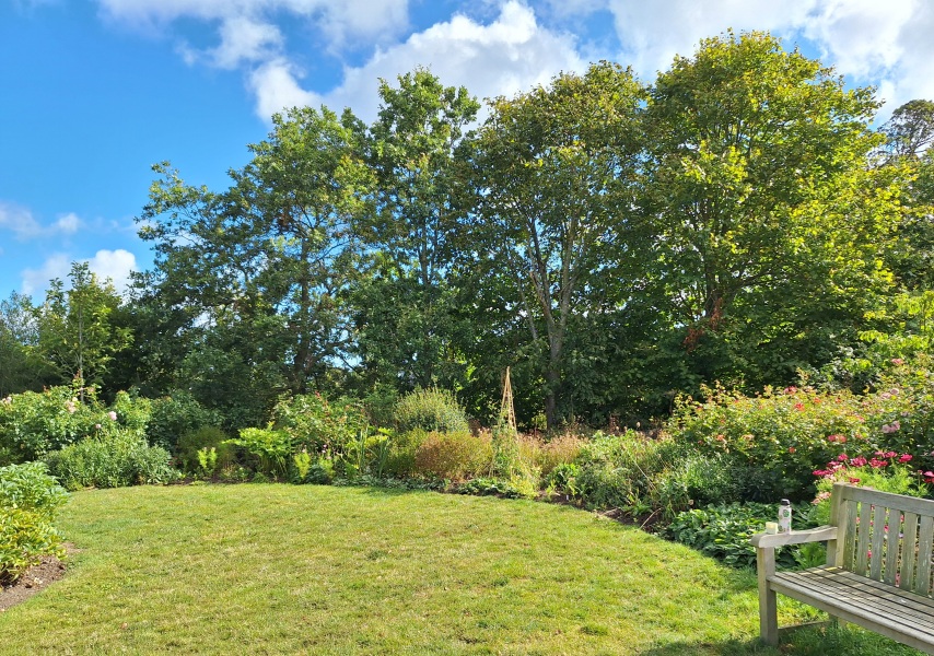 Year round Nigel Slater discussion thread Part 2