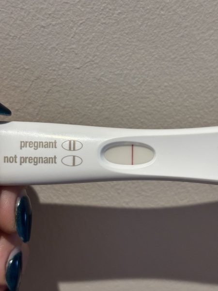 TTC TWW August/September 2025