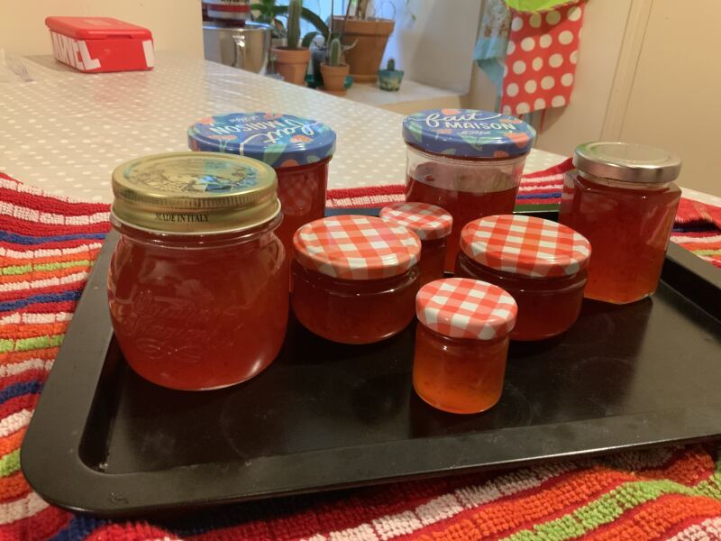 Poncetastic Christmas 2025