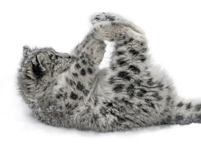 The Bluestocking - the one where the nights start to draw in