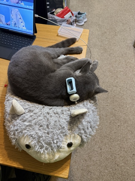 Tractive cat trackers