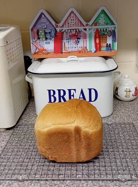 Scottish Tourism - the Excellent Cats debate Gizmo's suitability as a top influencer