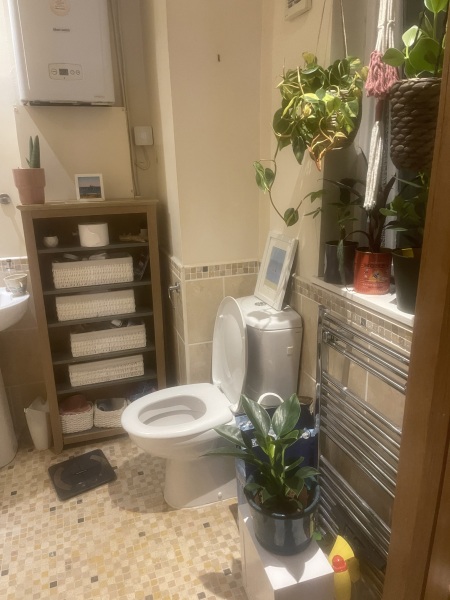 Beg for help in ideas for bathroom