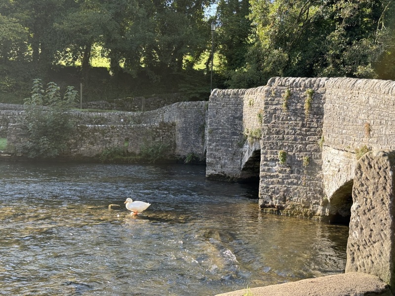 Year round Nigel Slater discussion thread Part 2