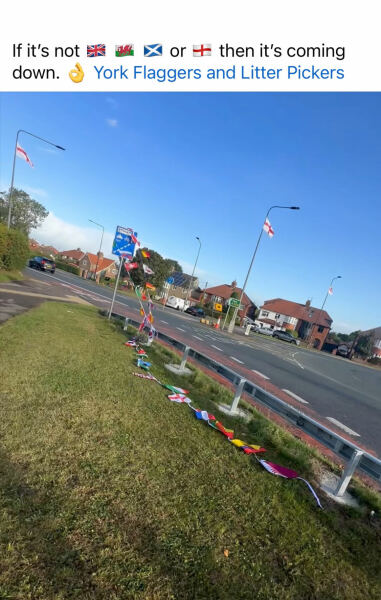 I took down some flags and DH wasn’t happy