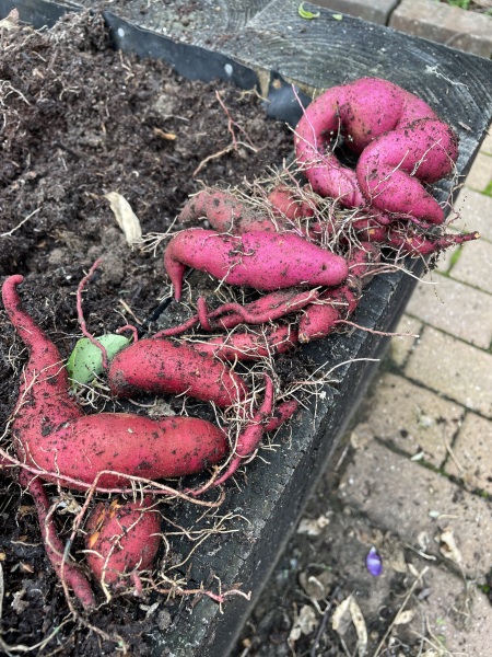 Year round Nigel Slater discussion thread Part 2