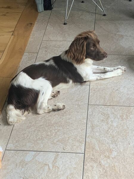 Our Cosmic Autumn Rebellion (Adolescent Support Group)