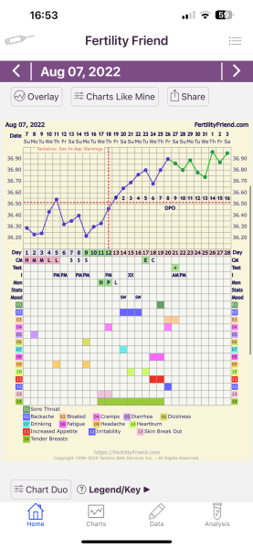 TTC TWW August/September 2025