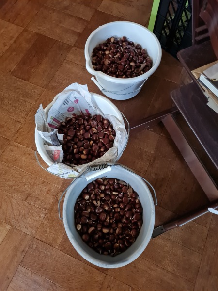 Poncetastic Christmas 2025