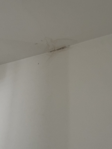 Mould & damp - can anyone please help?