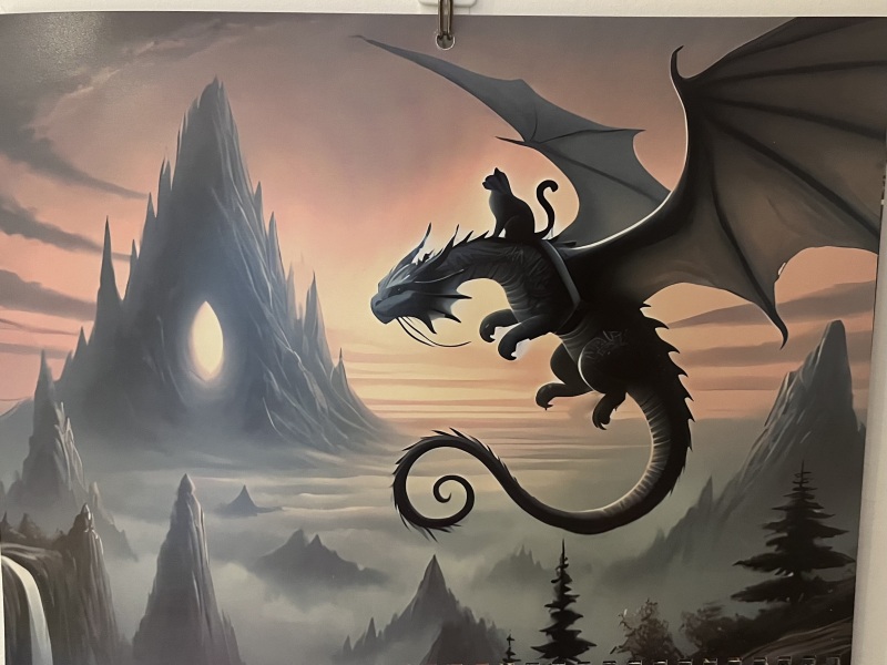 Chicken, Dreamies and Lickelix - the Excellent Cats form a disorderly queue