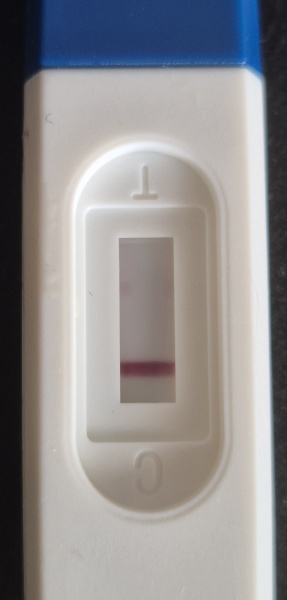 What's going on with this test?