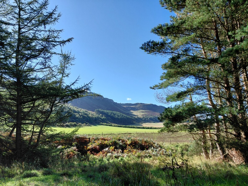 Any Witches Here? Part 21