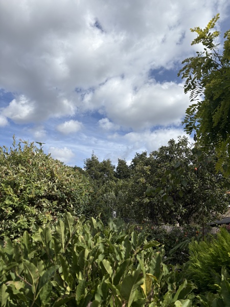 Woolly Hugs. Desperately sad news we are afraid. Making a Blanket for lovely Swashbuckled whose son has tragically died.