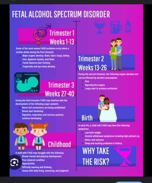 Drinking in pregnancy
