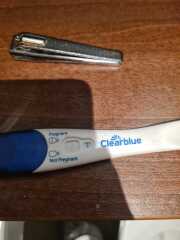 TTC TWW August/September 2025