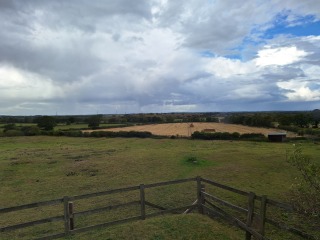 Year round Nigel Slater discussion thread Part 2