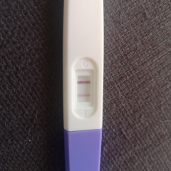 Is this a good result 12 days post transfer
