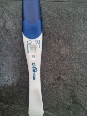 Pregnant or evap line