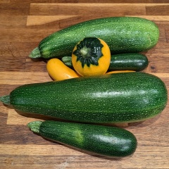 The Vegetable Patch 2024/2025