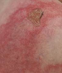 I'll survive without getting this checked out right?