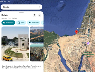 Palestine Action protests