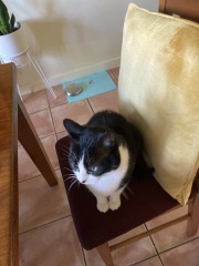 Not a supermodel, but I love him/her anyway