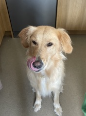 Talk some sense into me