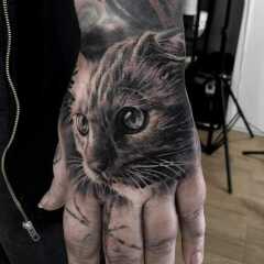 Chicken, Dreamies and Lickelix - the Excellent Cats form a disorderly queue