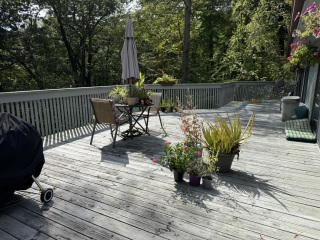 Come and tell us your dull and unexciting news 34: Calmly through the day