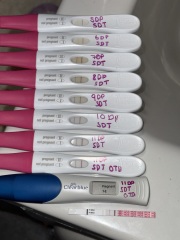 IVF pregnancy test help