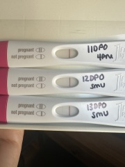 Head is frazzled - 13DPO and Frer progressing slowly!