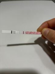 TTC TWW August/September 2025