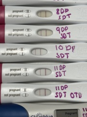IVF pregnancy test help