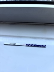 pregnancy test faint positive?