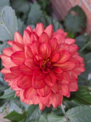 Year round Nigel Slater discussion thread Part 2