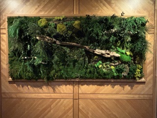 Come and tell us your dull and unexciting news 34: Calmly through the day