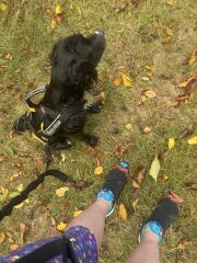 Training for a half marathon-anyone else?