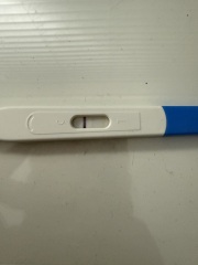 Different pregnancy test results