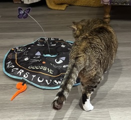 I think I’ve just figured out how the world ends…