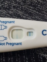 Clear blue test. Evap line or positive