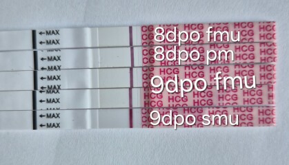 2 week wait purgatory!