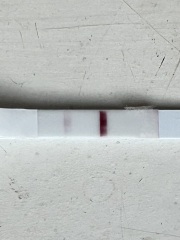 Sainsbury’s pink dye tests - loads of false positives?