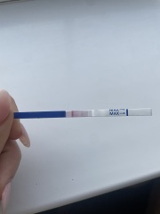 Evap line or bfp? Thoughts please!