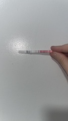 Wondfo test advice