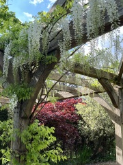 The potting shed: sheltering from the rain and musing about the garden