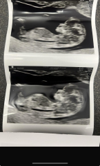 Gender Prediction!