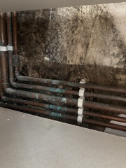 Has the landlord moved us into a damp kitchen?