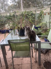 I think I’ve just figured out how the world ends…